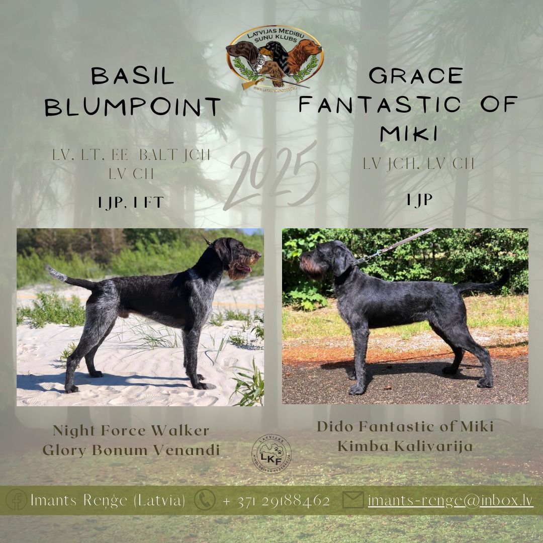 WhatsApp Image2025 01